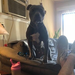 Meet your Posher, Nicholas